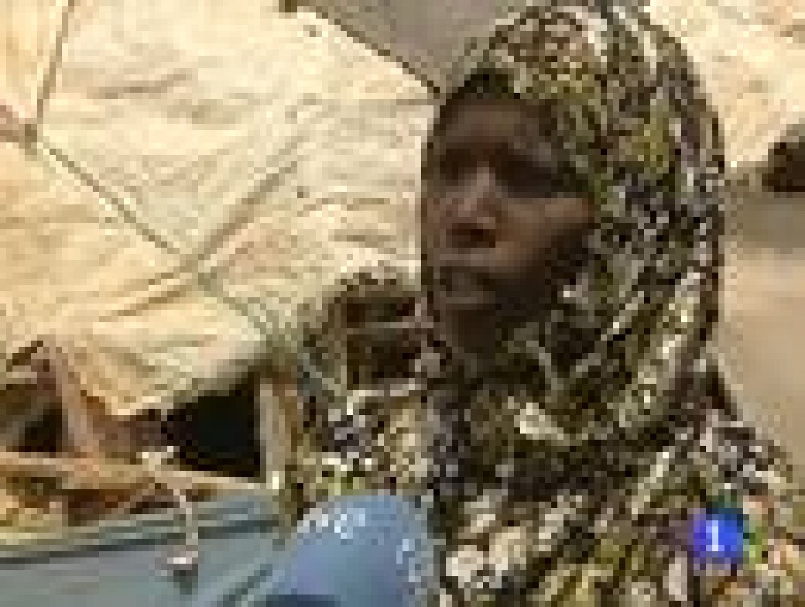Duros combates en Somalia entre el ejército y la guerrilla islamista de Al Sahabab