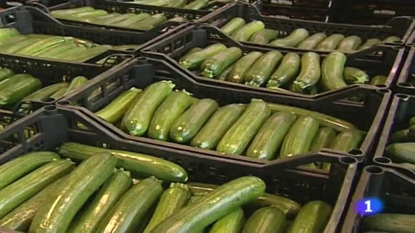 Telediario - 21 horas - 28/07/11 - Ver ahora