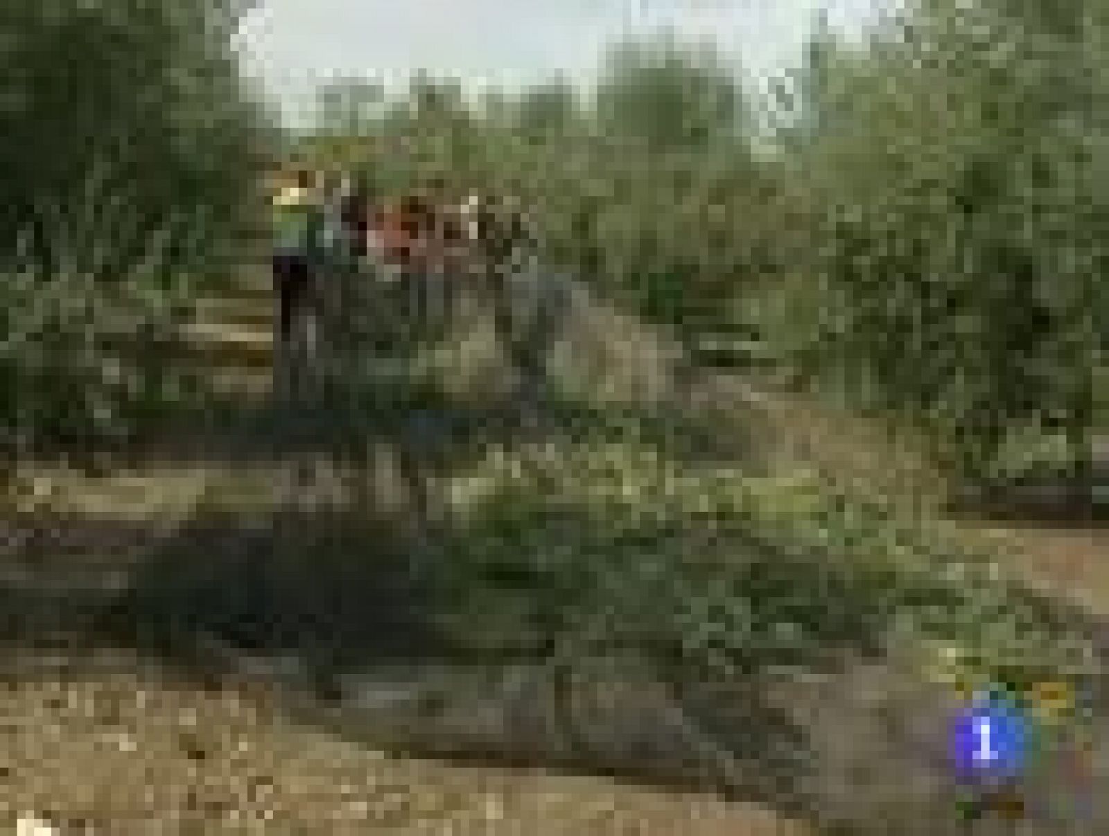 El reto diario de los empresarios para generar empleo