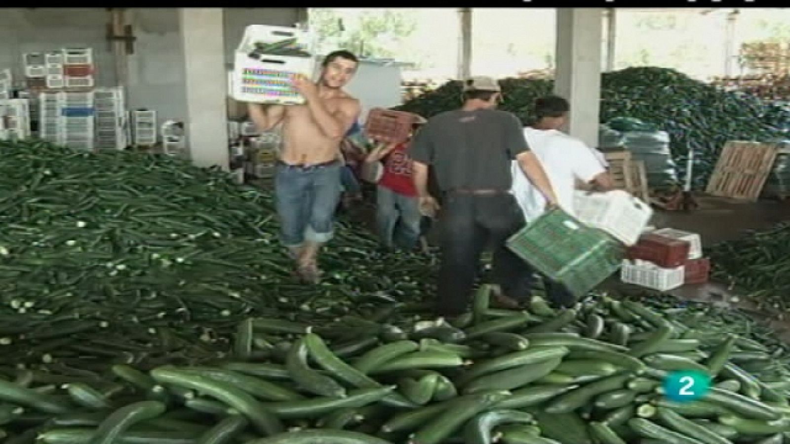 Agrosfera - 30/07/11 - Ver ahora