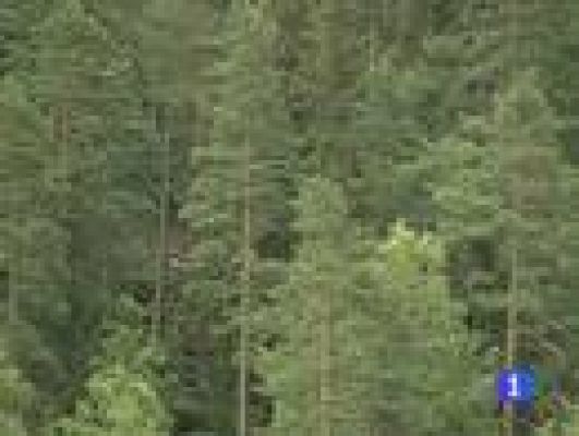 Telediario 1 - Testimonios de Utoya