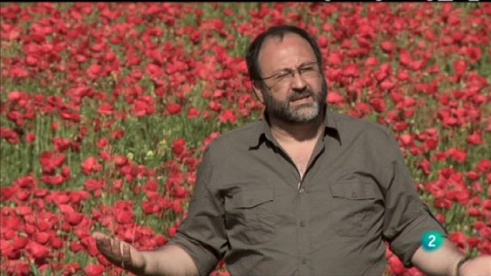 Biodiario - Biodiario - 31/07/11