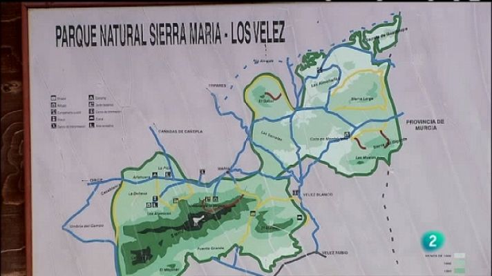 Biodiario - Biodiario - 01/08/11