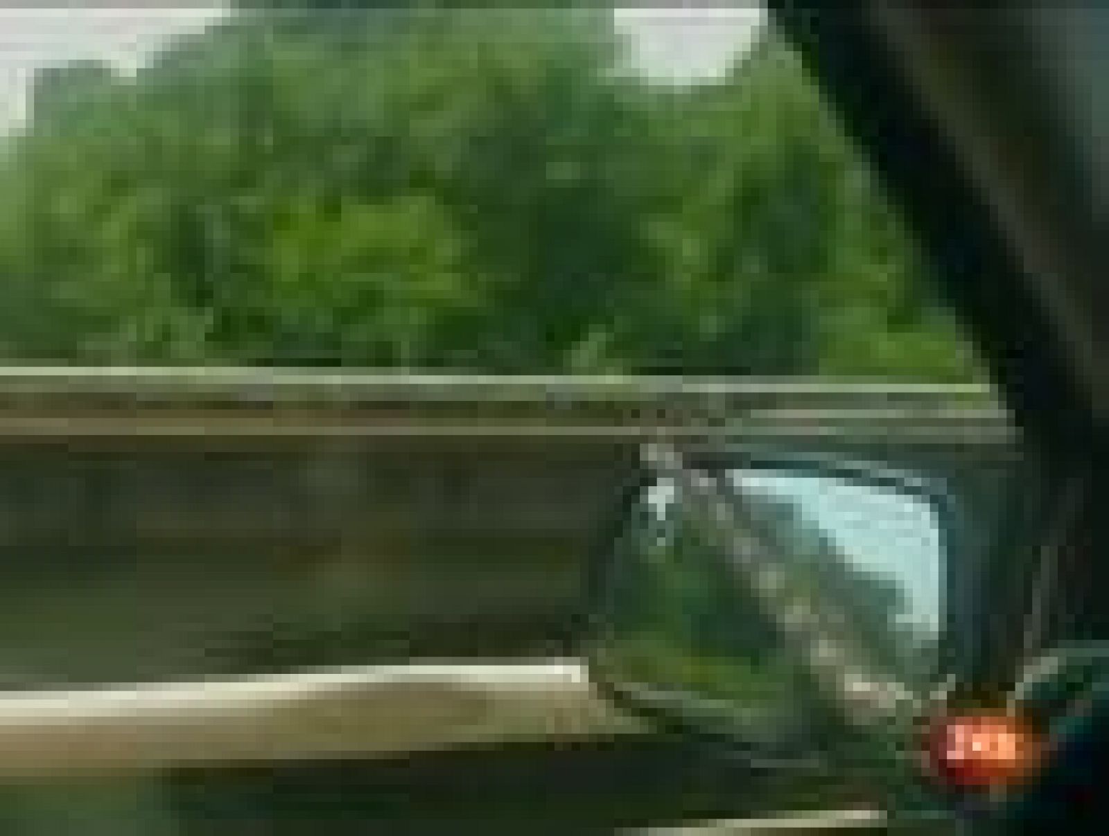 Informativo 24h: Una serpiente aparece en el parabrisas del coche de una mujer mientras conducía | RTVE Play