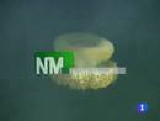 Noticias Murcia - Noticias Murcia. (03/08/2011).