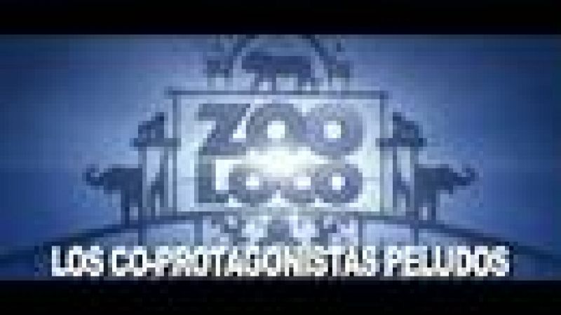  'Zooloco': rodar con animales