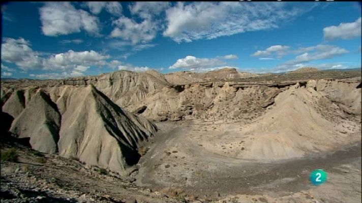 Biodiario - Biodiario - 06/08/11