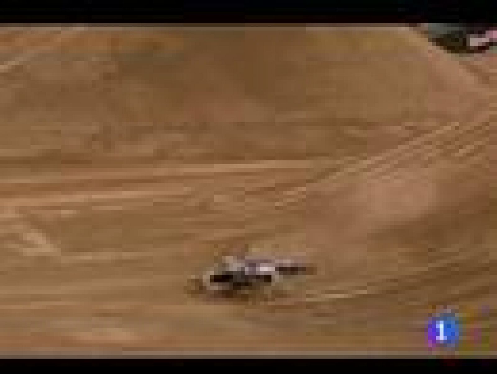 El piloto español André Villa se rompió el fémur en la quinta prueba del Mundial de motocross, que lidera Nate Adams.