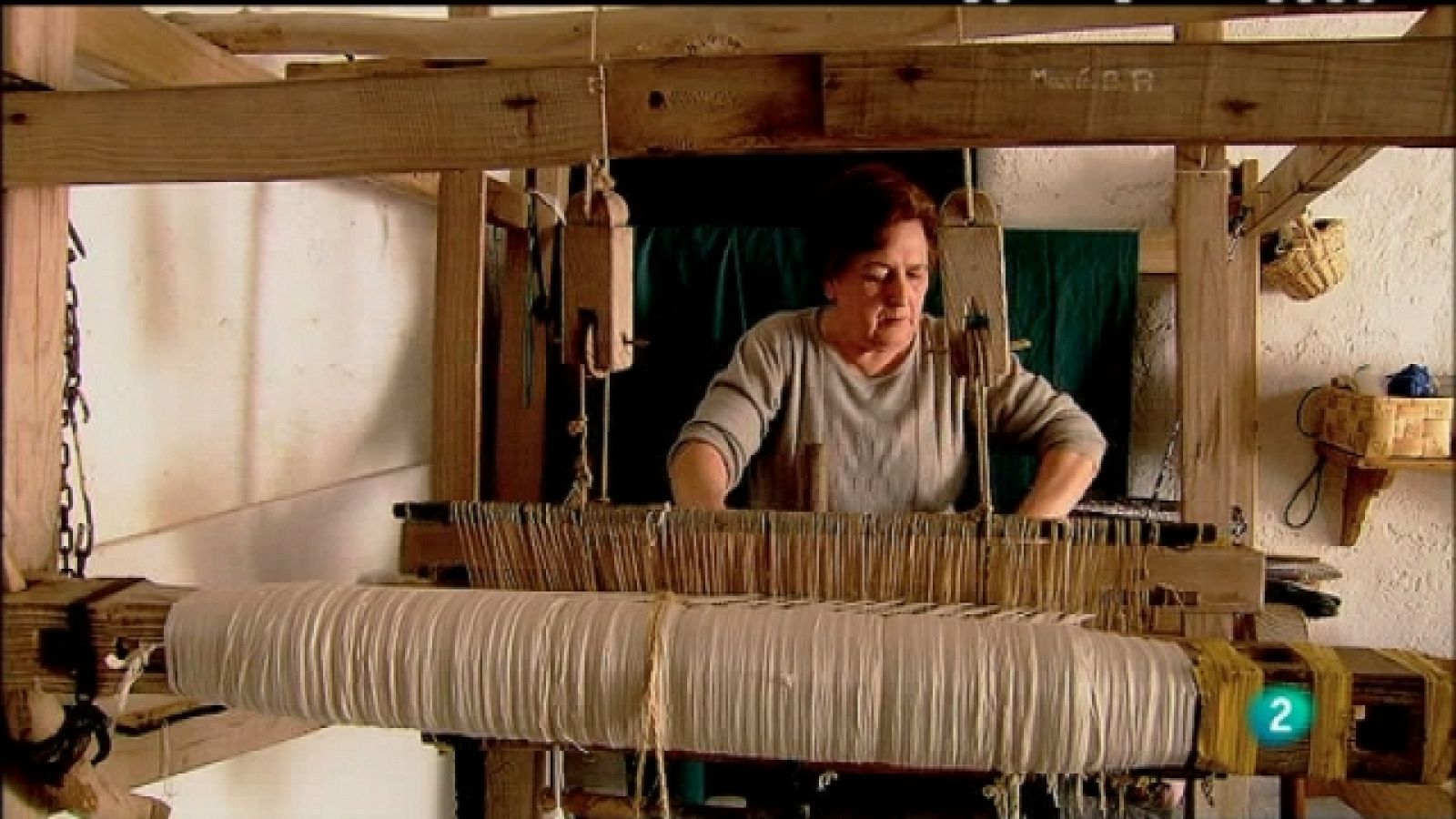 Biodiario - 07/08/11 - Ver ahora