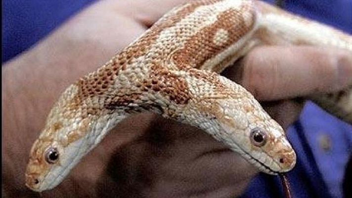 On Off - Única en su especie