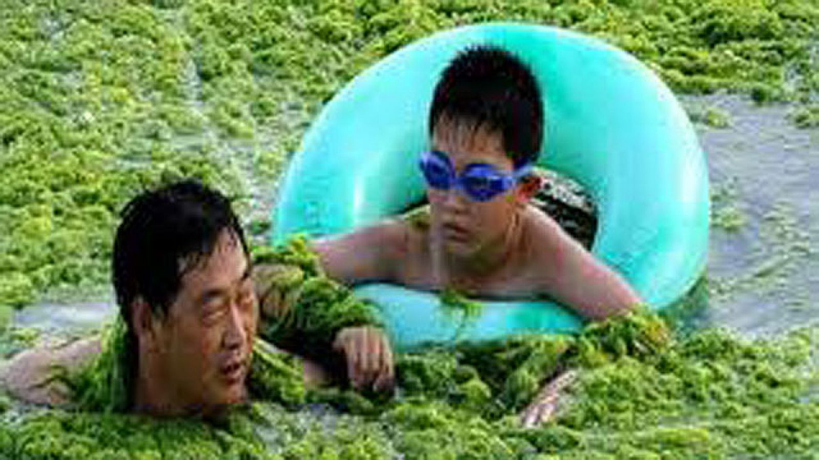 On Off: Un baño en la marea verde