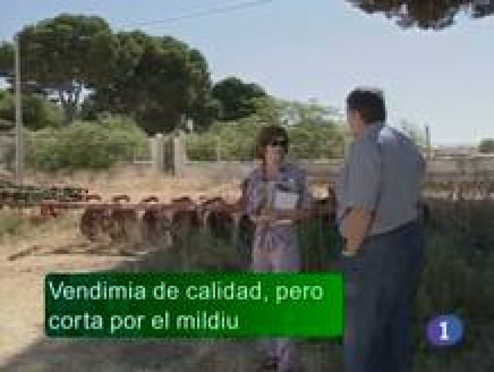 Noticias de Castilla-La Mancha: Noticias Castilla La Mancha en 2' (08/08/2011) | RTVE Play