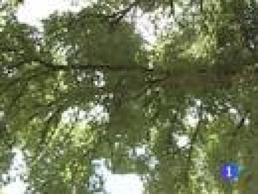 Telediario 1 - ¿Existe la sombra ideal?