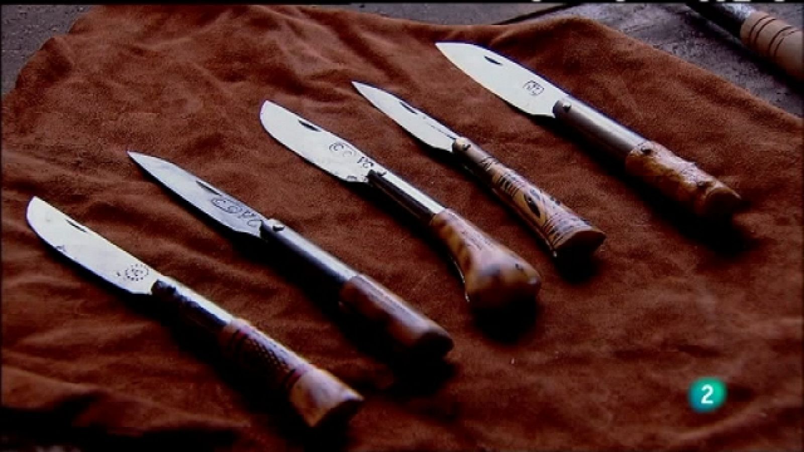 Biodiario - 09/08/11 - Ver ahora