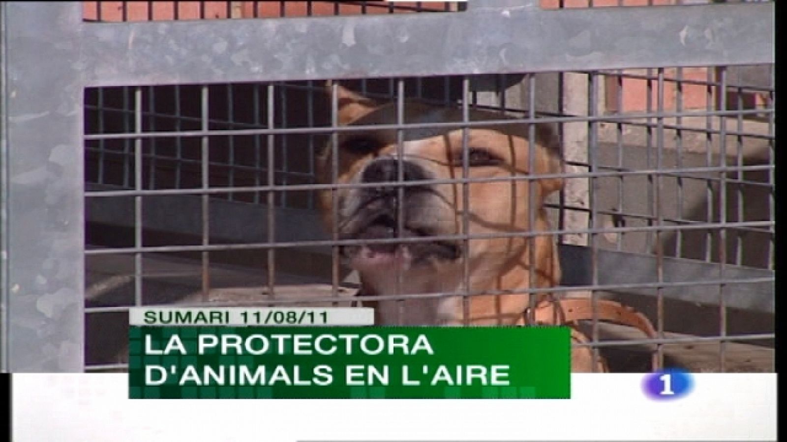 L'Informatiu. Informativo Territorial de la C. Valenciana - 11/08/11 - Ver ahora