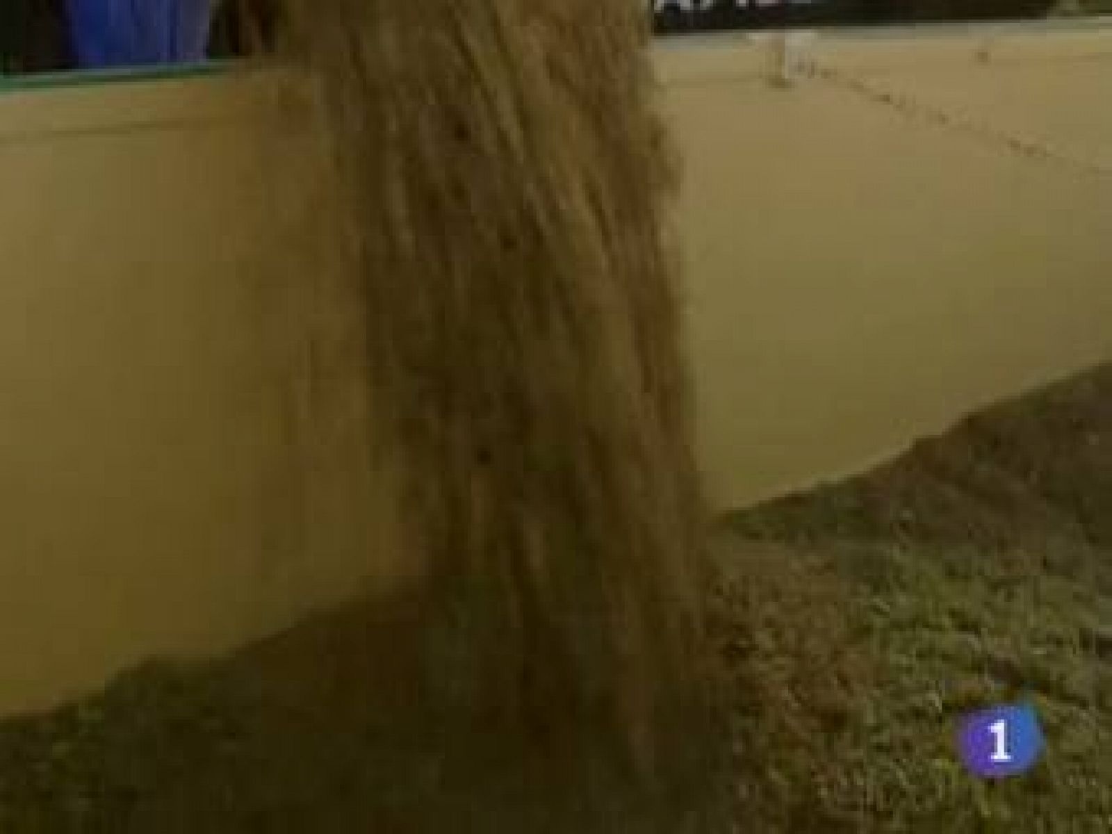 Noticias de Castilla-La Mancha: Noticias Castilla La Mancha en 2'  (12/08/11) | RTVE Play