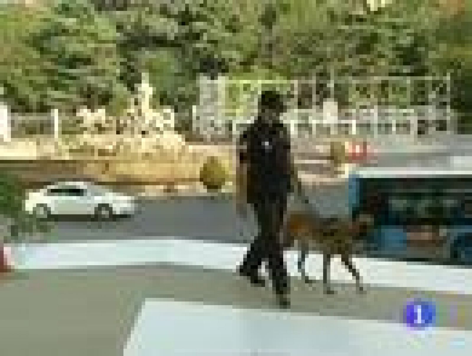 Más de 10 mil policías velarán por la seguridad en la Jornada Mundial de la Juventud