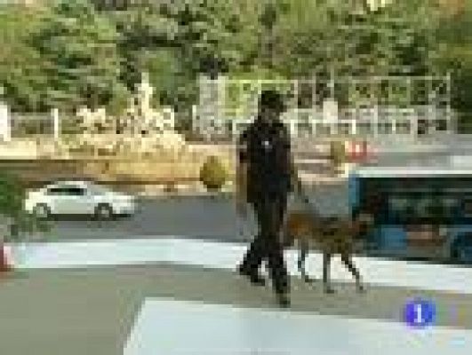 Telediario 1 - La seguridad de las JMJ