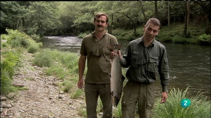 Biodiario - Biodiario - 13/08/11