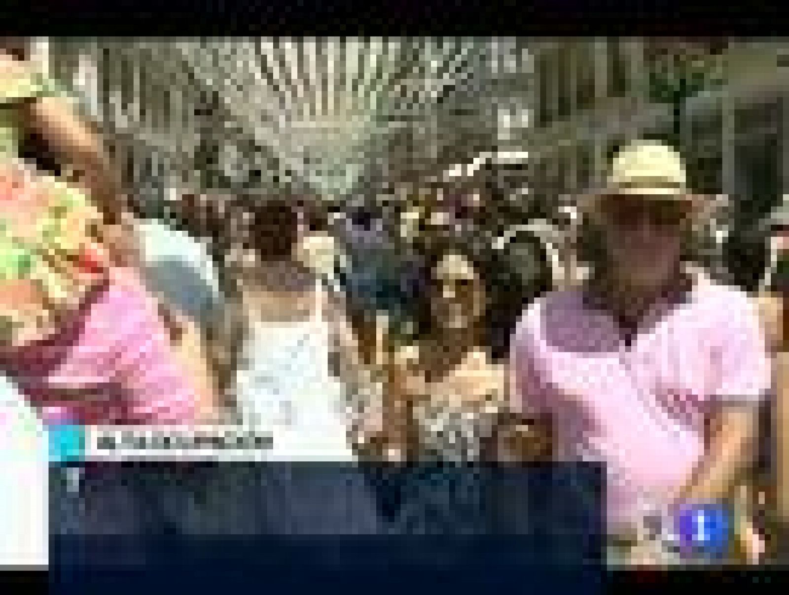 Telediario 1: Telediario 1 en 4' - 14/08/11 | RTVE Play