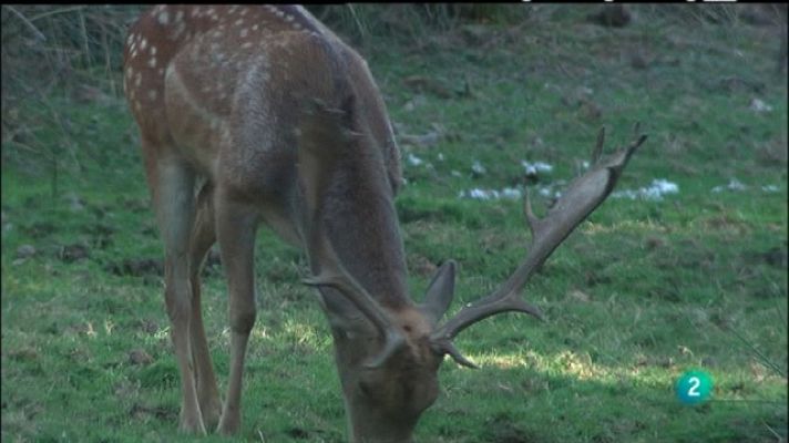 Biodiario - Biodiario - 15/08/11