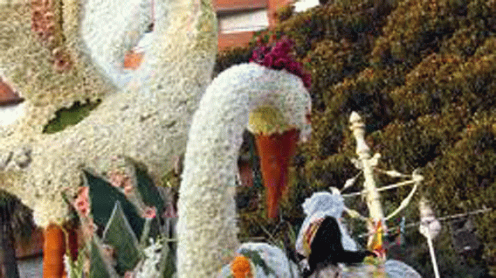 On Off - Batalla de flores