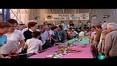 La dieta mediterránea - Frutas frescas 2