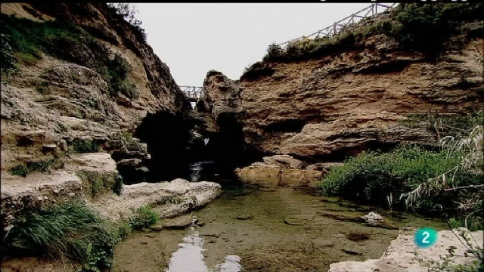 Biodiario - 17/08/11 - Ver ahora