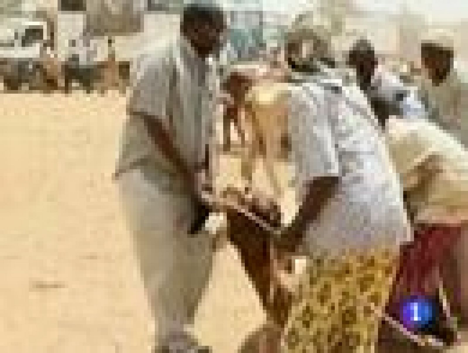 La hambruna que azota al Cuerno de África empeorará a finales de mes