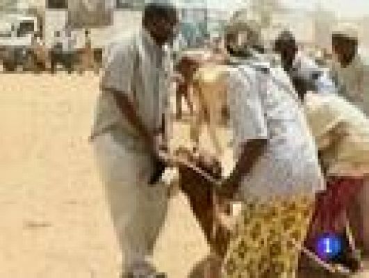 Telediario 1 - El Cuerno de África, al límite