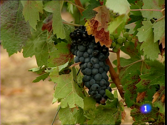 Informativo Telerioja - Informativo Telerioja - 18/08/11