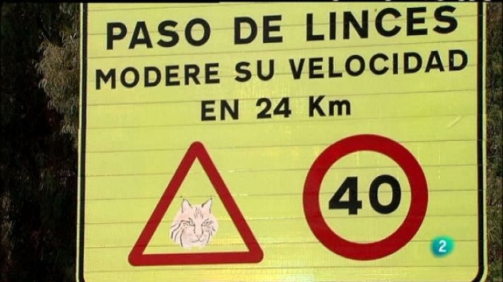 Biodiario - Biodiario - 19/08/11