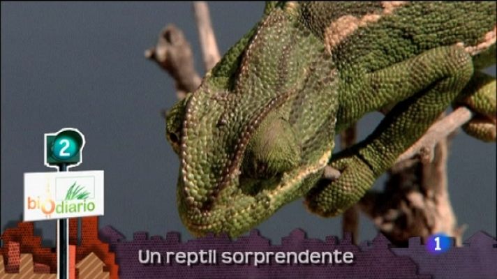 Lo que hay que ver ... - Lo que hay que ver - 20/08/11