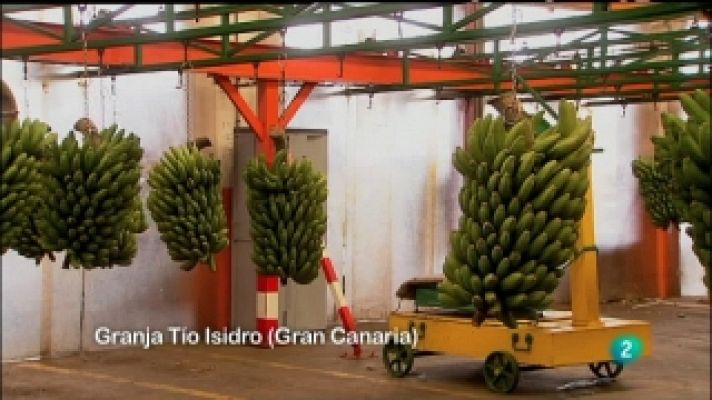 Biodiario - Biodiario - 20/08/11