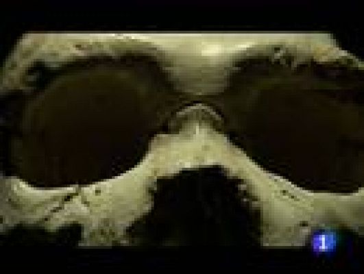 Informe Semanal - Hace un millón de años