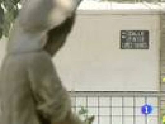 Telediario 1 - Antonio López en Tomelloso