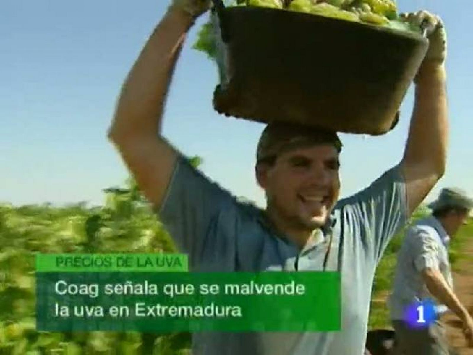 Noticias de Extremadura: Noticias de Extremadura - 23/08/11 | RTVE Play