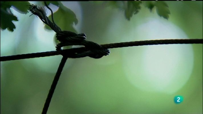 Biodiario - Biodiario - 23/08/11