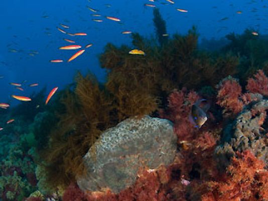 Ciencia y tecnología en Rtve.es - La montaña submarina de Gorringe