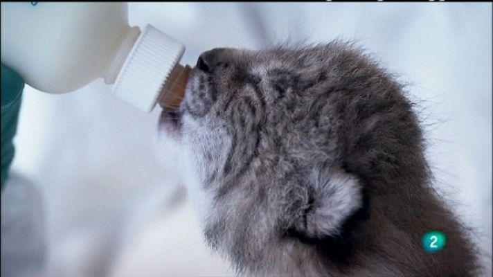 Biodiario - Biodiario - 24/08/11