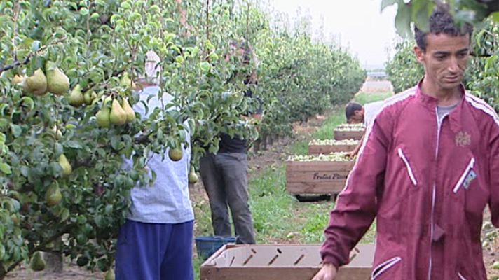 Telediario 1 - Permisos temporales de trabajo