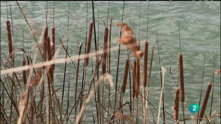 Biodiario - Biodiario - 25/08/11