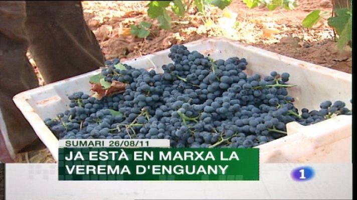 L'informatiu - Comunitat Valenciana - La Comunidad Valenciana en 2'