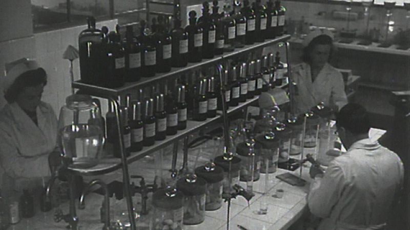 ¿Te acuerdas? - Penicilina