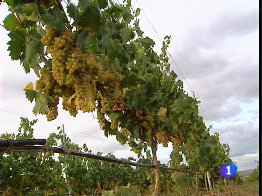 Informativo Telerioja - Informativo Telerioja - 26/08/11