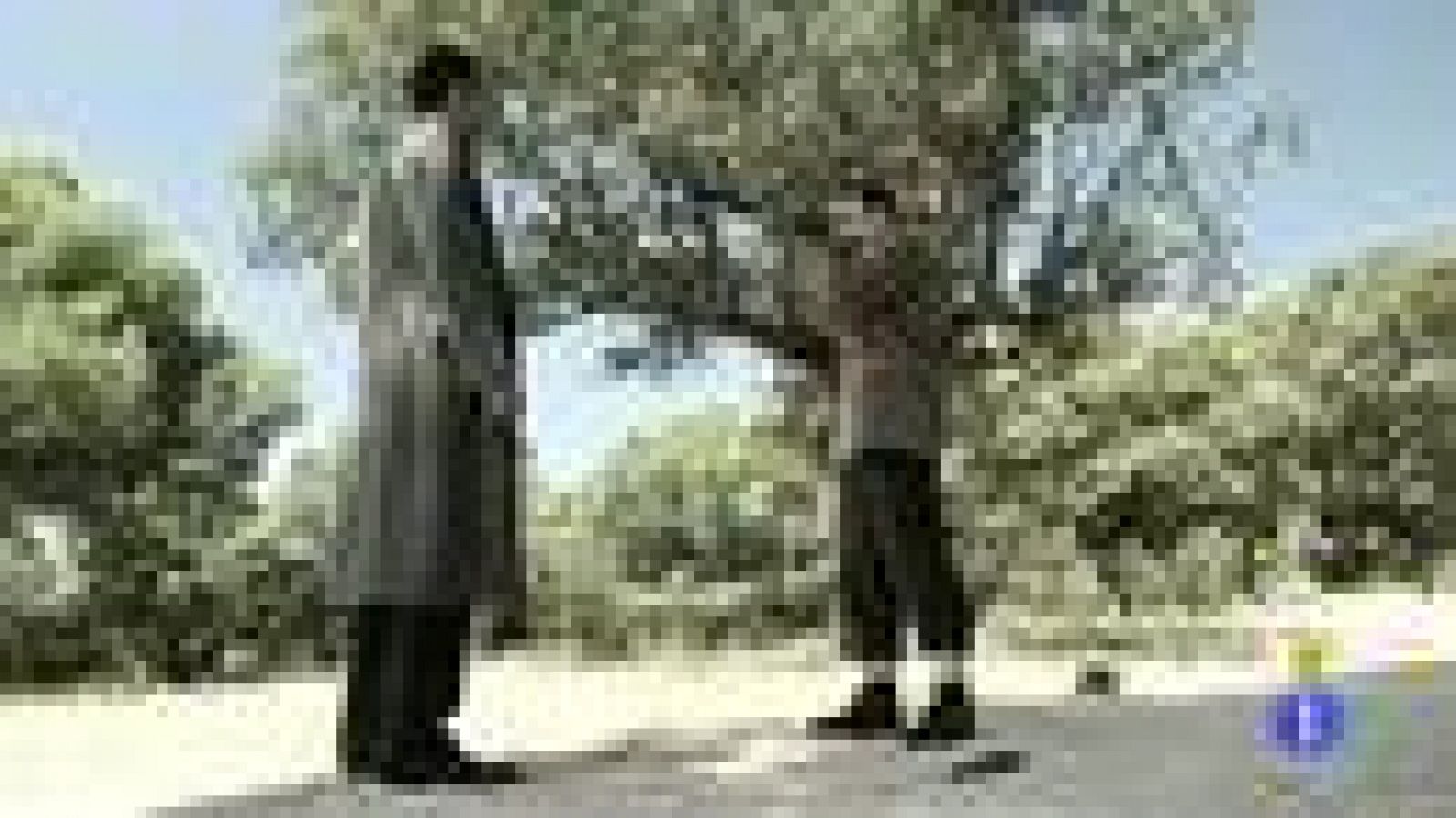 Amar - El desenlace más dramático de la temporada