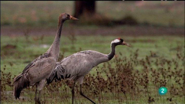 Biodiario - Biodiario - 26/08/11