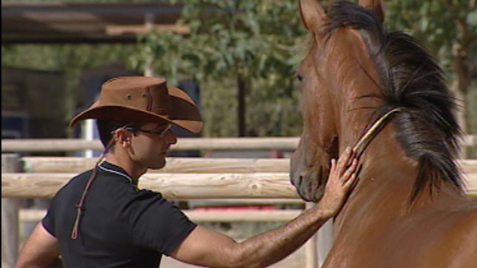 Doma natural de caballos