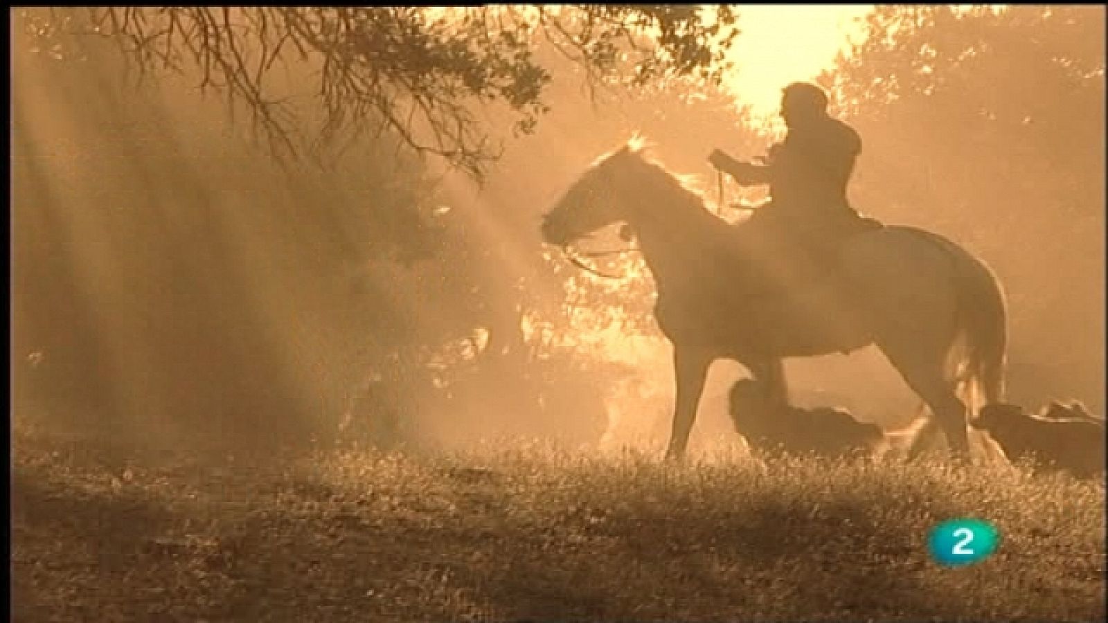 Espacios Naturales "Huellas Trashumantes" - La vereda de las reses bravas - Ver ahora