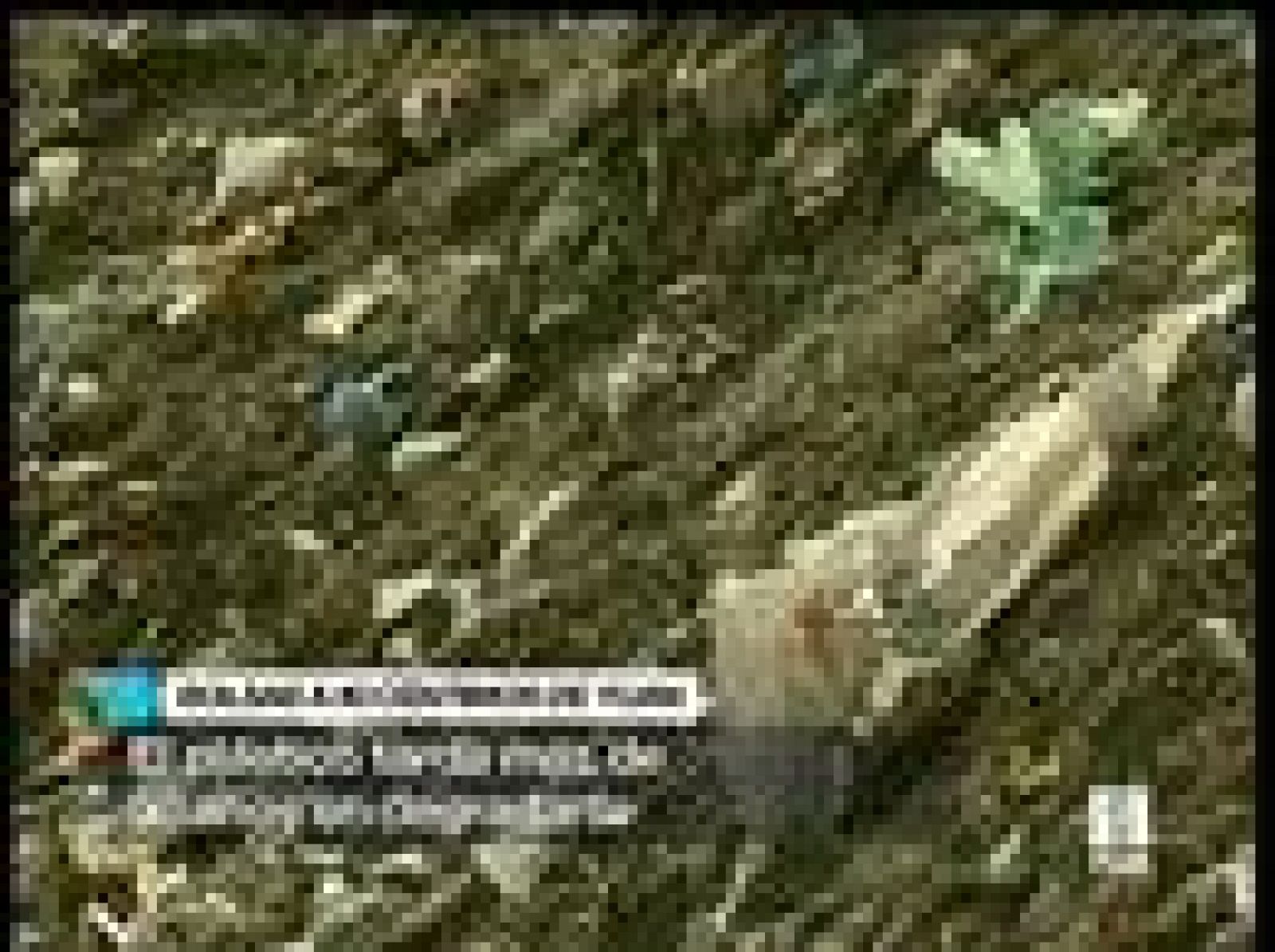 Una nueva normativa gubernamental para luchar contra la denominada "contaminación blanca" ha entrado en vigor en China y las bolsas de plástico distribuidas en los comercios han dejado de ser gratuitas en todo el país (02/06/08).